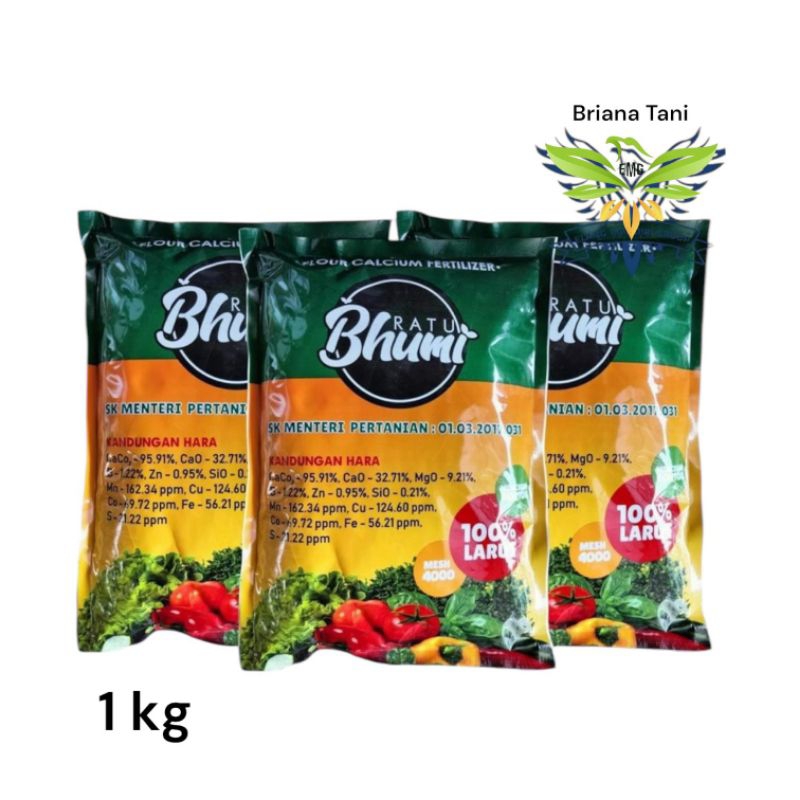 ￼Ratu Bhumi 1kg Pupuk Kalsium Mesh 4000 Mencegah kerontokan Pada Tanaman Mitra Tani Indonesia Manoha