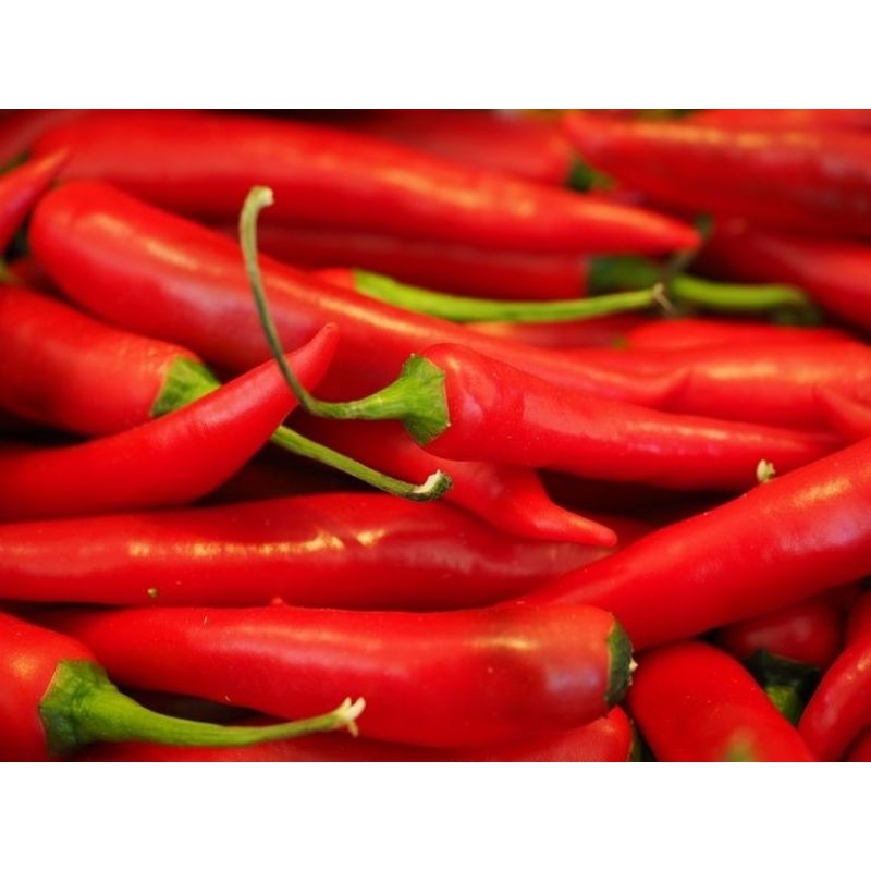 

cabe merah super 500gr