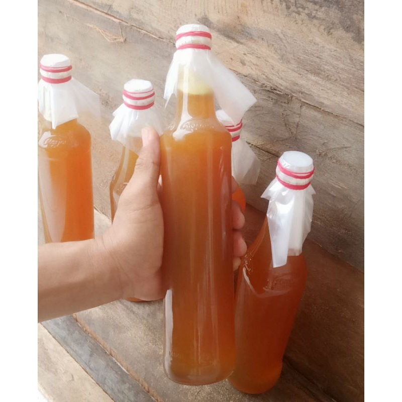 

MADU HUTAN MURNI DARI HUTAN SUMATERA UTARA