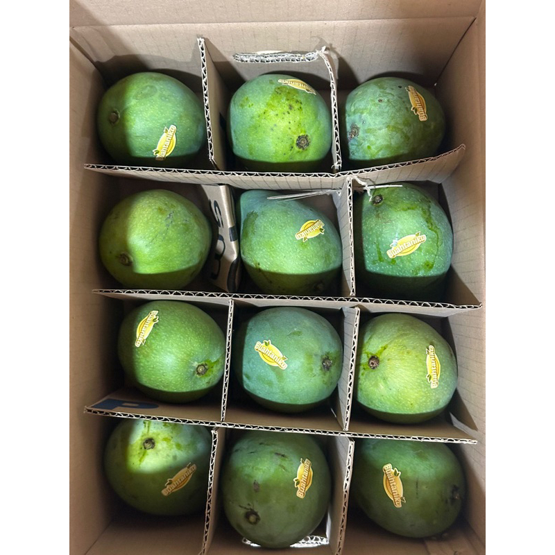

[Promo] 5KG Mangga reguler isi 13-15pcs