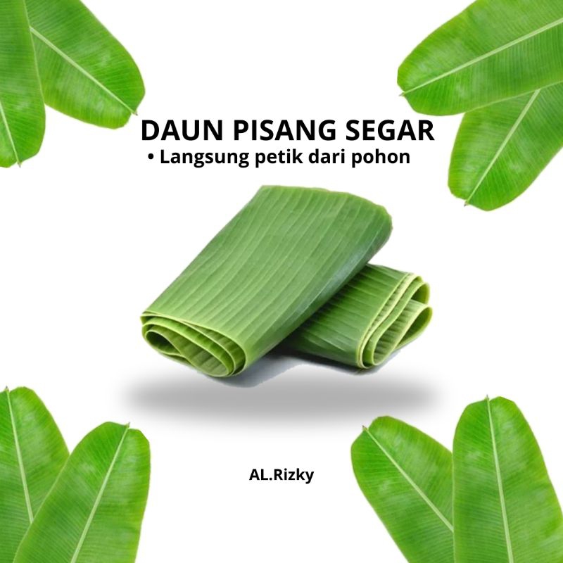 

Daun pisang tua perikat 500gram