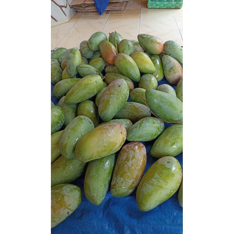 

paket 5kg mangga kiojay / mangga thailand (request mentah/matang tulis di catatan optional)