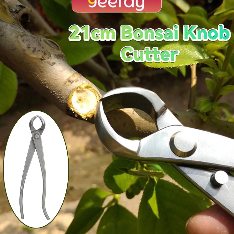 Free Shipment  Catok Bonsai Cembung 21cm Baja Tahan Karat Penuh Catut Cembung Tanaman Bonsai Alat Pe