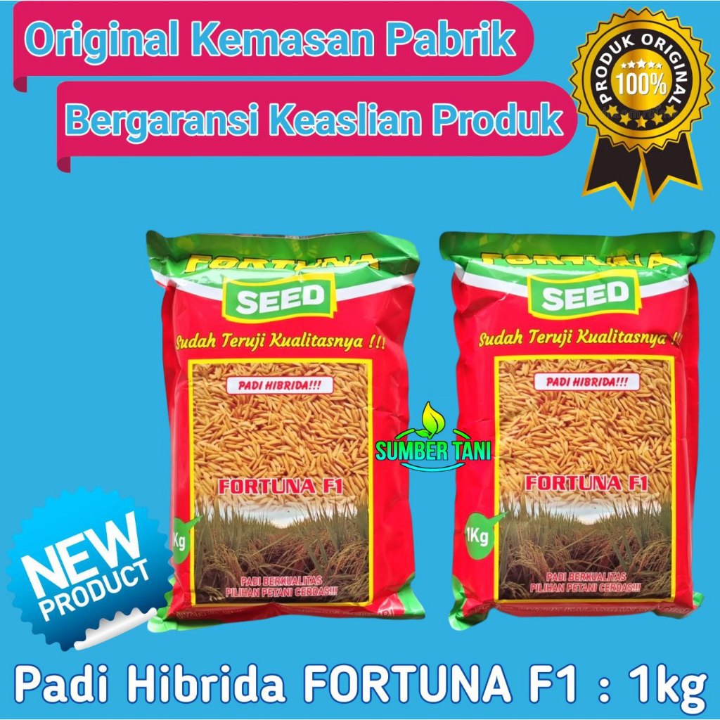 

Benih Padi Hibrida FORTUNA F1 | Varietas Sama Persis MAPAN P05 - SUPADI 56