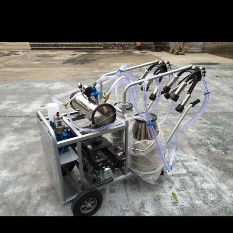 Mesin Perah Portable Double Bukcet Made in China