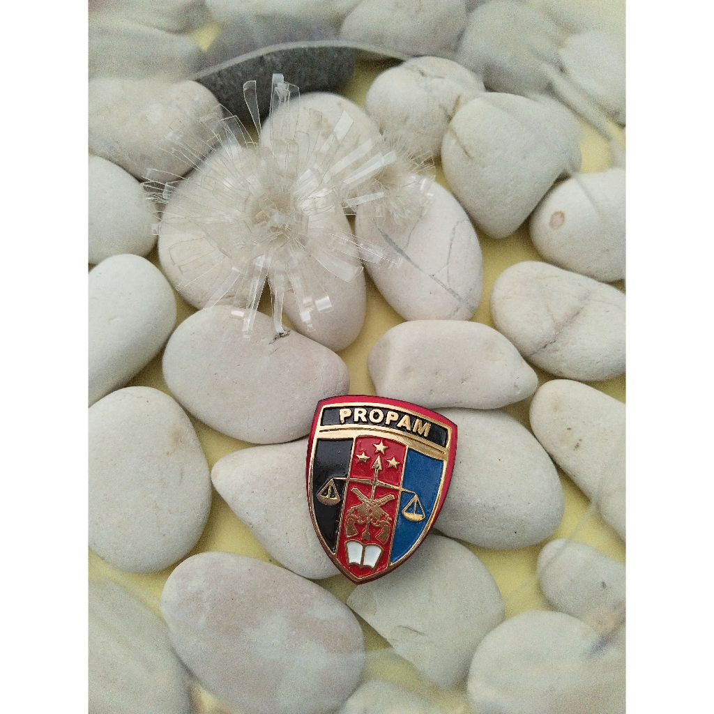 pin polisi propam / pin propam