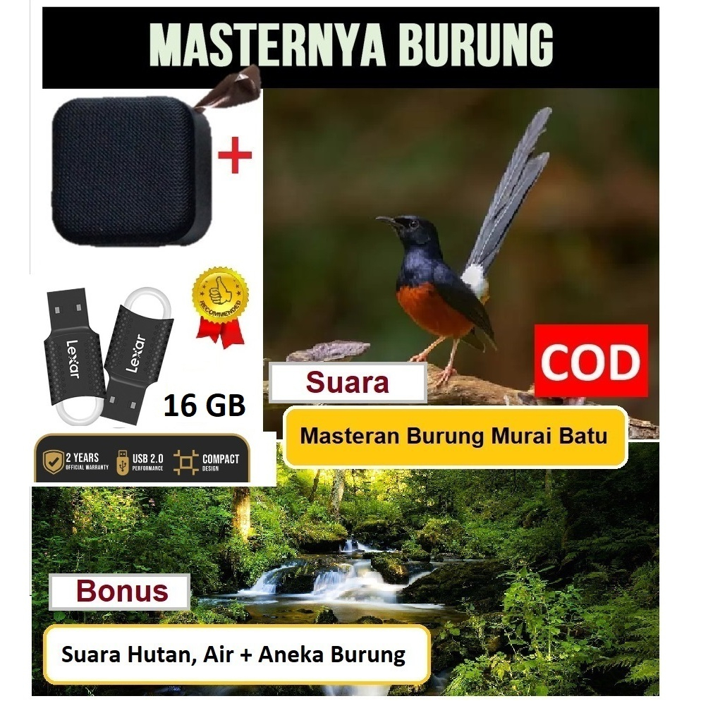 Masteran Burung Murai Batu Gacor Bisa Buat Semua Burung Dengan Suara Air & Hutan - Speaker Mini USB 