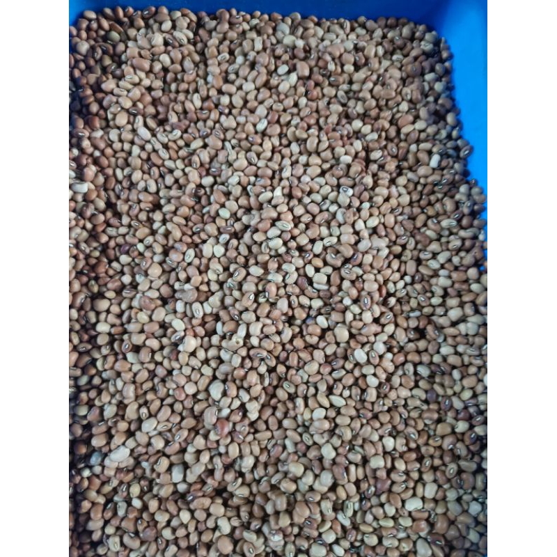 

kacang tunggak/tolo 1kg