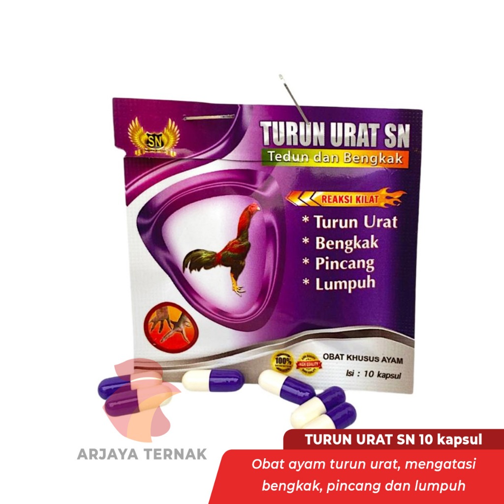 Obat Ayam Turun Urat SN mengobati turun urat isi 10 kapsul