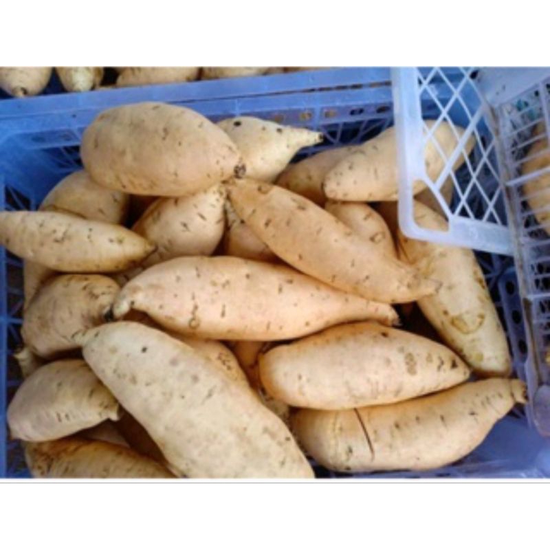 

3kg Ubi Madu Cilembu Mentah Lumer dan manis