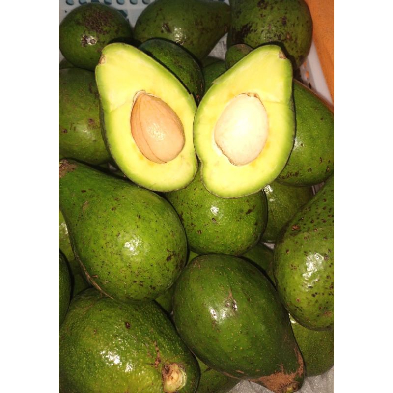 

Alpukat Mentega