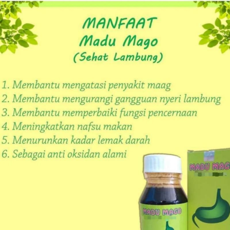 

madu lambung madu mago