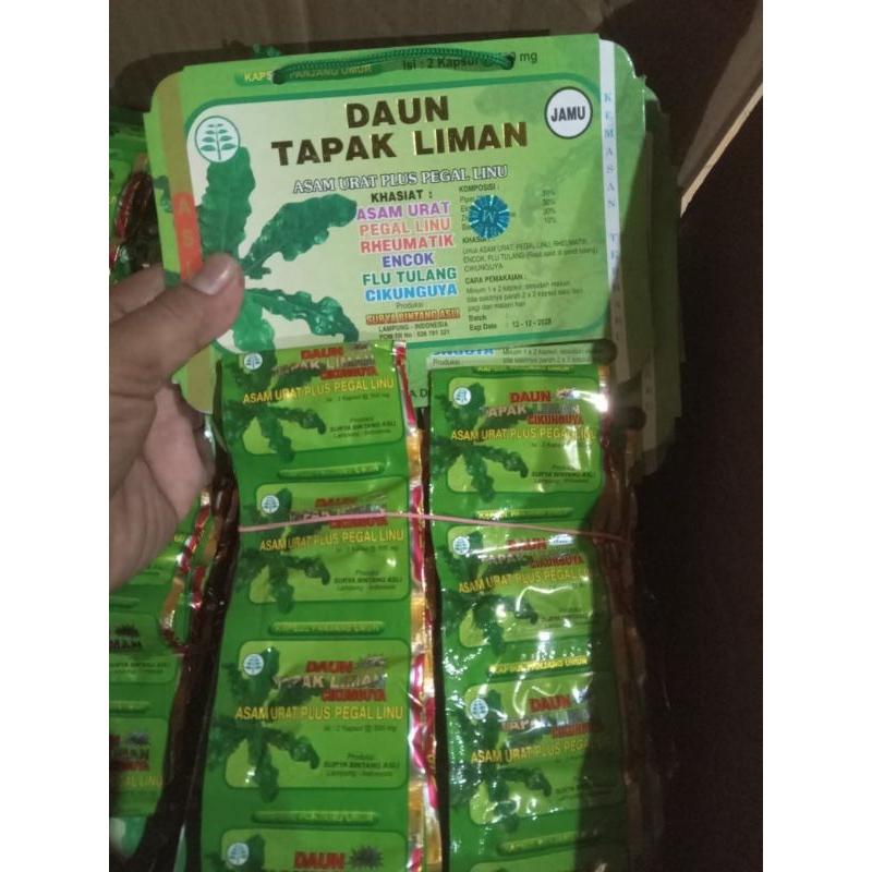 

Tapak Liman Hologram biru Asli 100%