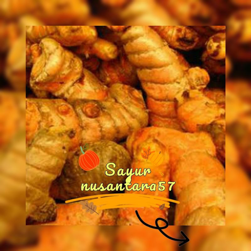 

kunyit 500gr