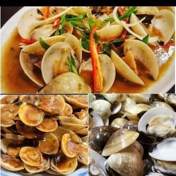 

kerang tahu fresh 1kg frozen