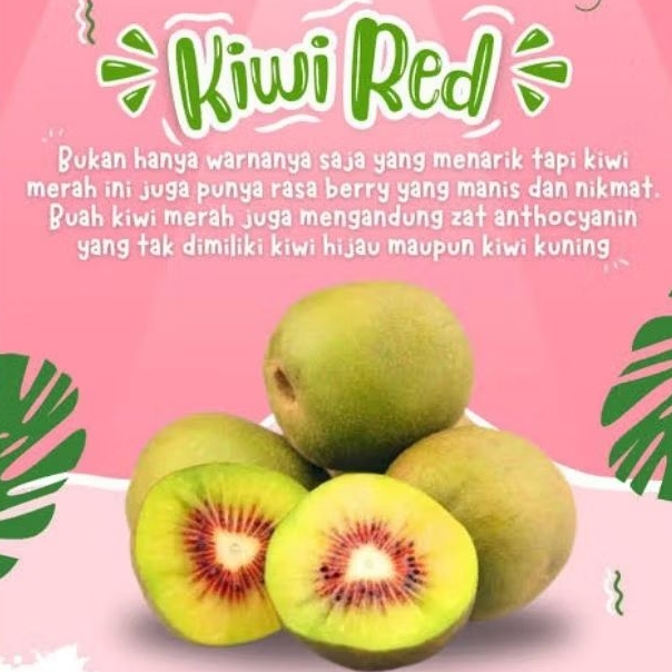 Panen Sayur - Kiwi merah, Buah kiwi, Kiwi, Kiwi red, Buah segar Kiwi