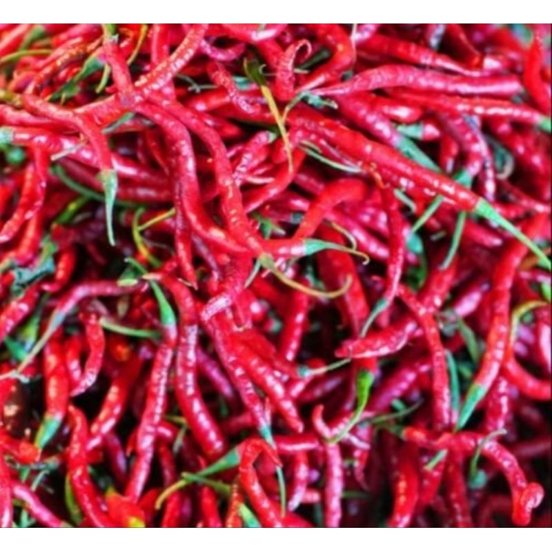 

cabe kriting - cabe merah keriting 1 kg promo