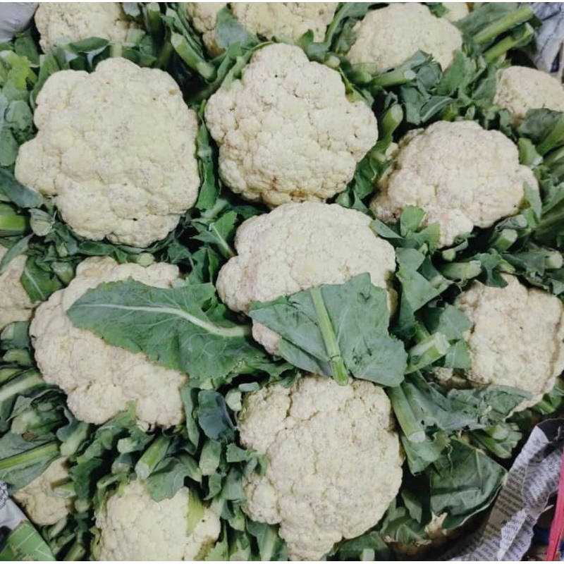 

brokoli - brokoli putih- sayur frozen - mbangkol 500gr