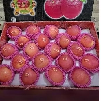 

APEL 1KG FRESS SETIAP HARI