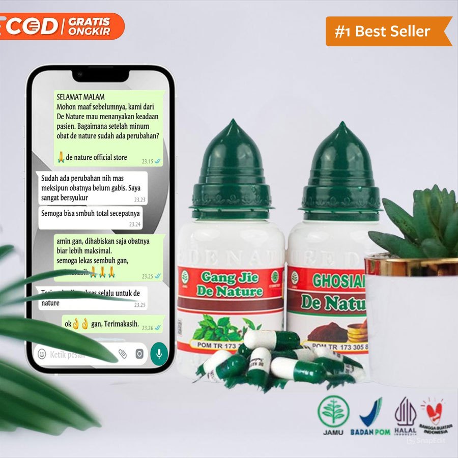 Gangjie Ghosiah De Nature Obat Penyakit Kelamin Sipilis Sifilis Kencing Nanah Gonore Raja Singa Klam