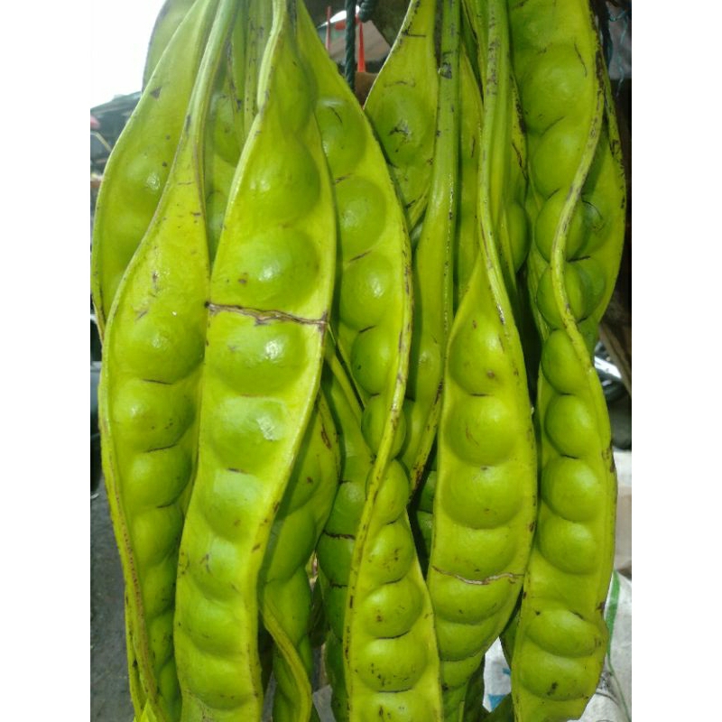 

Sayur Pete Petai hijau perikat