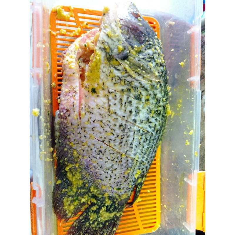 

ikan segar berbumbu frozen