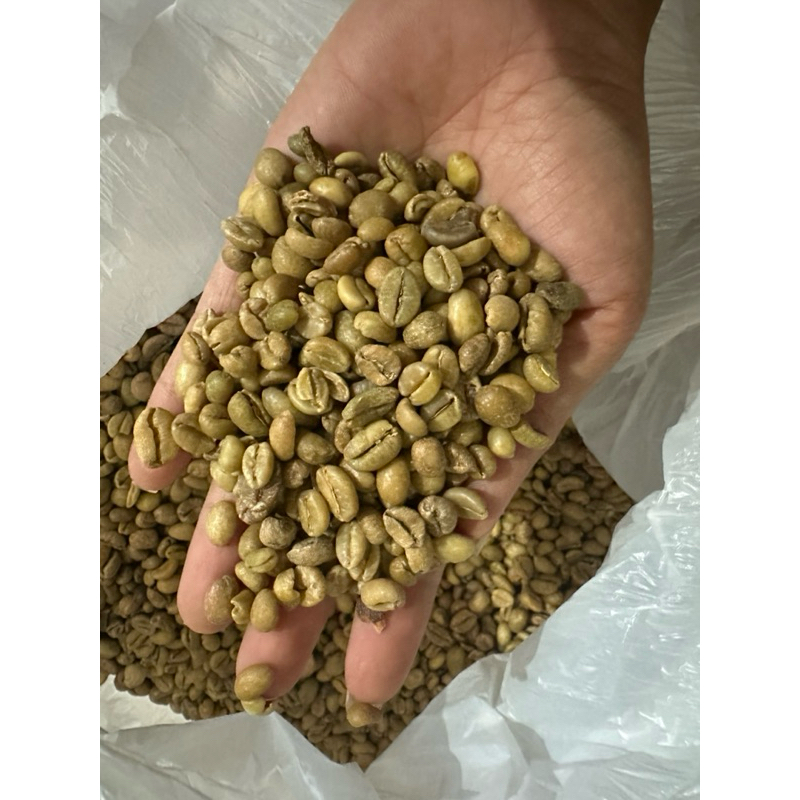 

kopi liberika Dampit