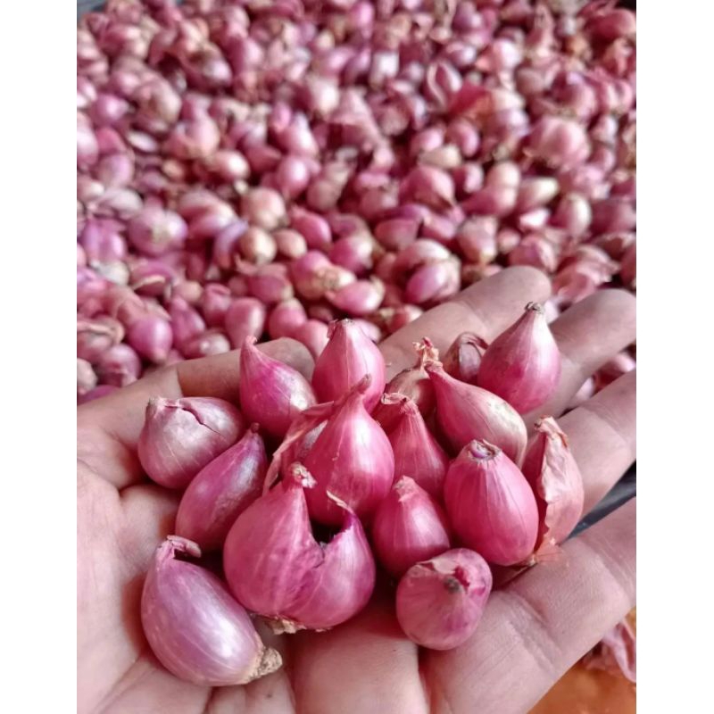 

Bawang merah berkualitas 1kg|bawang merah lokal/asli Nganjuk|BAWANG MERAH
