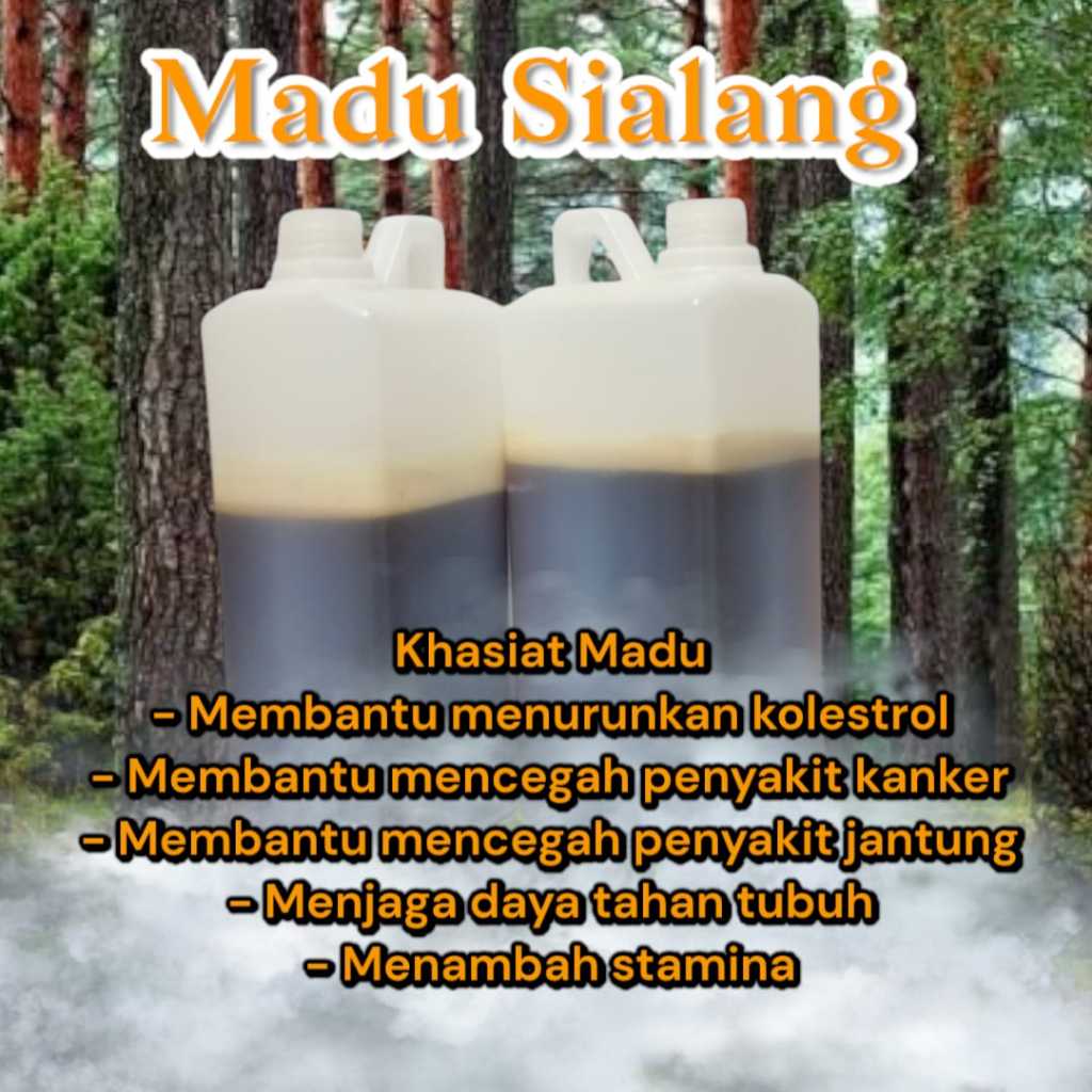 

Madu sialang jambi 1kg Madu hutan sialang jambi murni madu asli murah