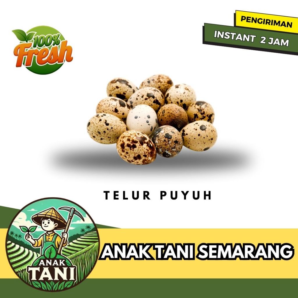 

[ANAK TANI] TELUR PUYUH PER BUNGKUS SIAP KIRIM INSTANT AREA SEMARANG