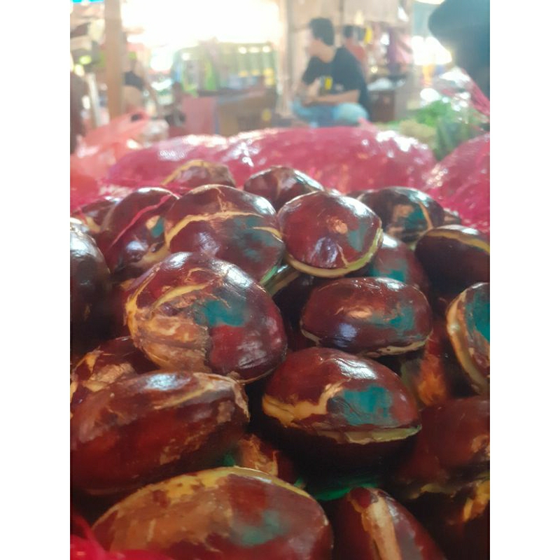 

JENGKOL TUA SUPER COCOK UNTUK SEMUR 1KG