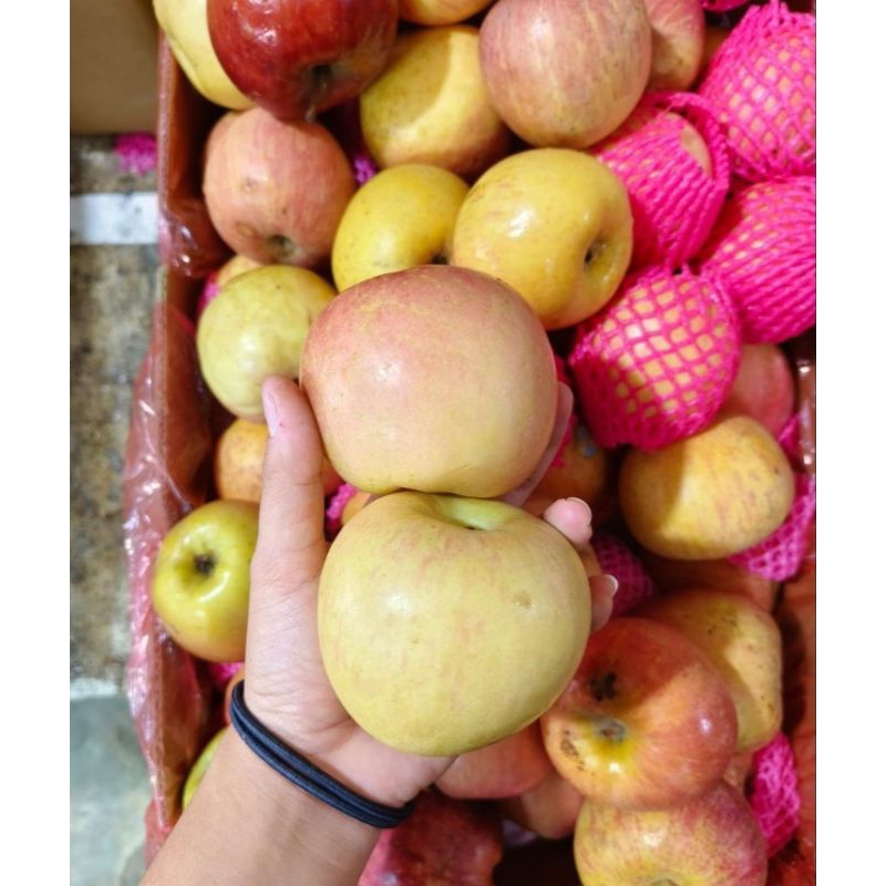 

APEL FUJI FRESH KRIUK 1KG