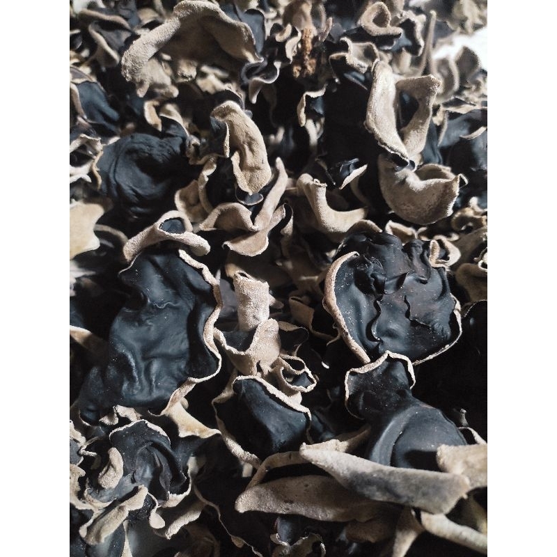 

JAMUR KUPING KERING BERAT 500GR GRADE A