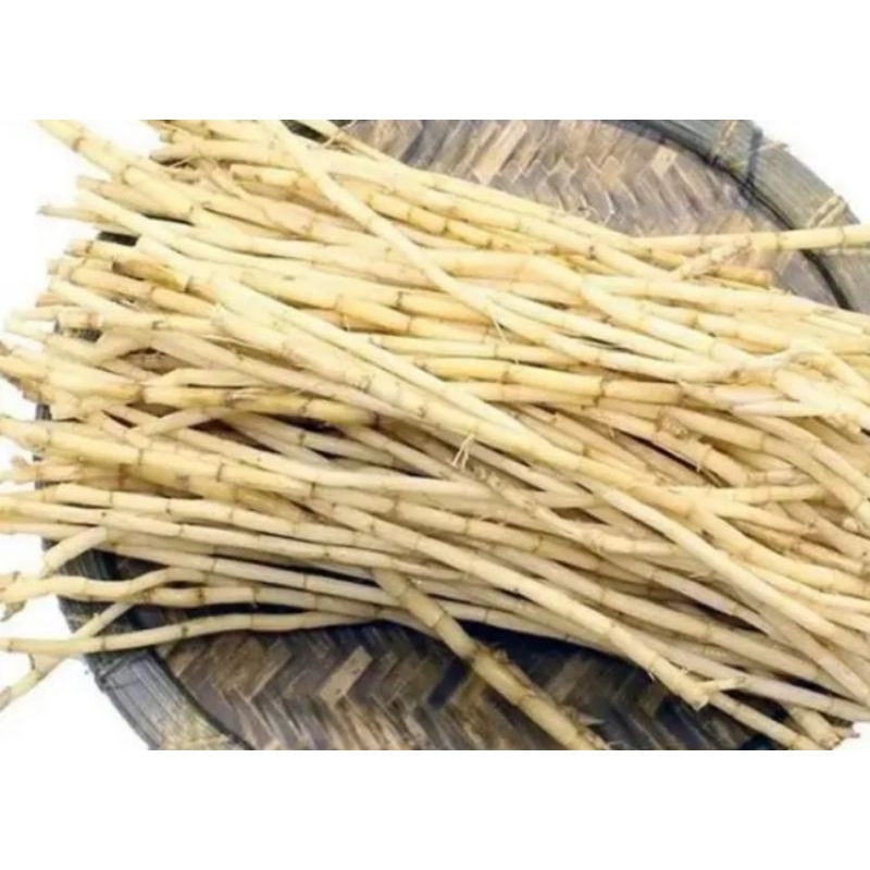 

Akar alang alang segar 250g