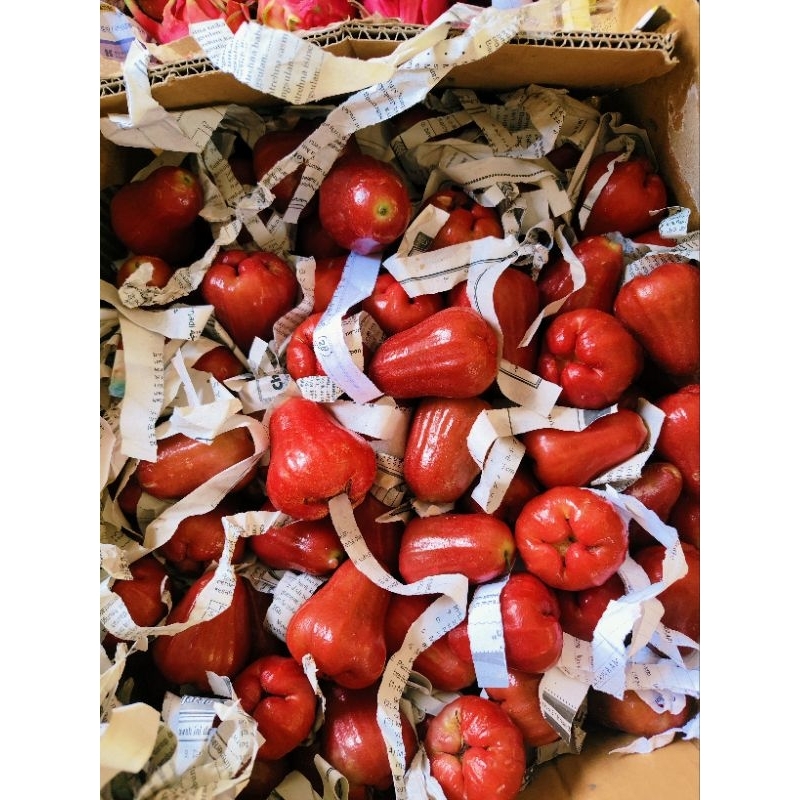 

jambu citra
