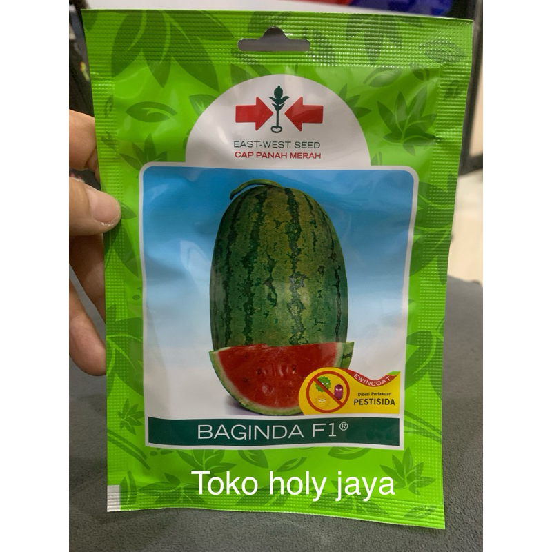 Benih semangka BAGINDA 380 butir semangka lonjong berbiji baginda