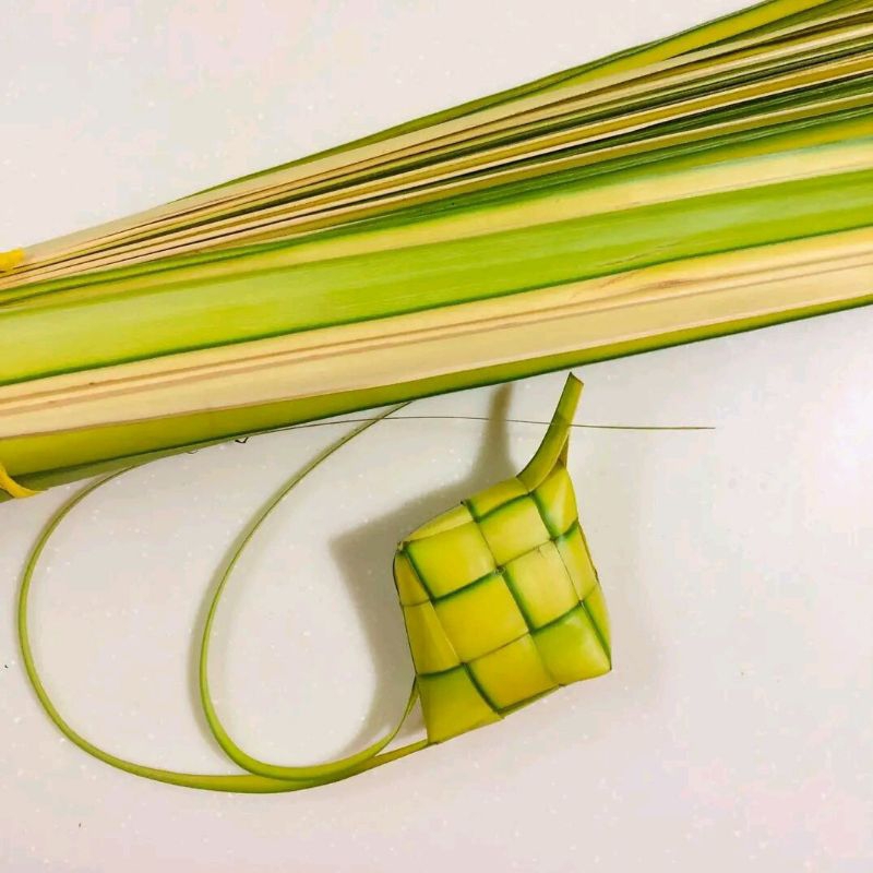 

JANUR KUNING / DAUN KELAPA MUDA 30 LEMBAR