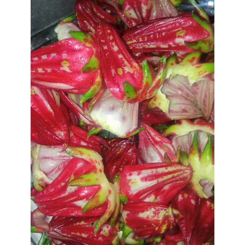

Rosellaherbal