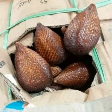 

Salak Pondoh 1kg