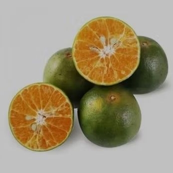 

Jeruk Peras Minuman 250g