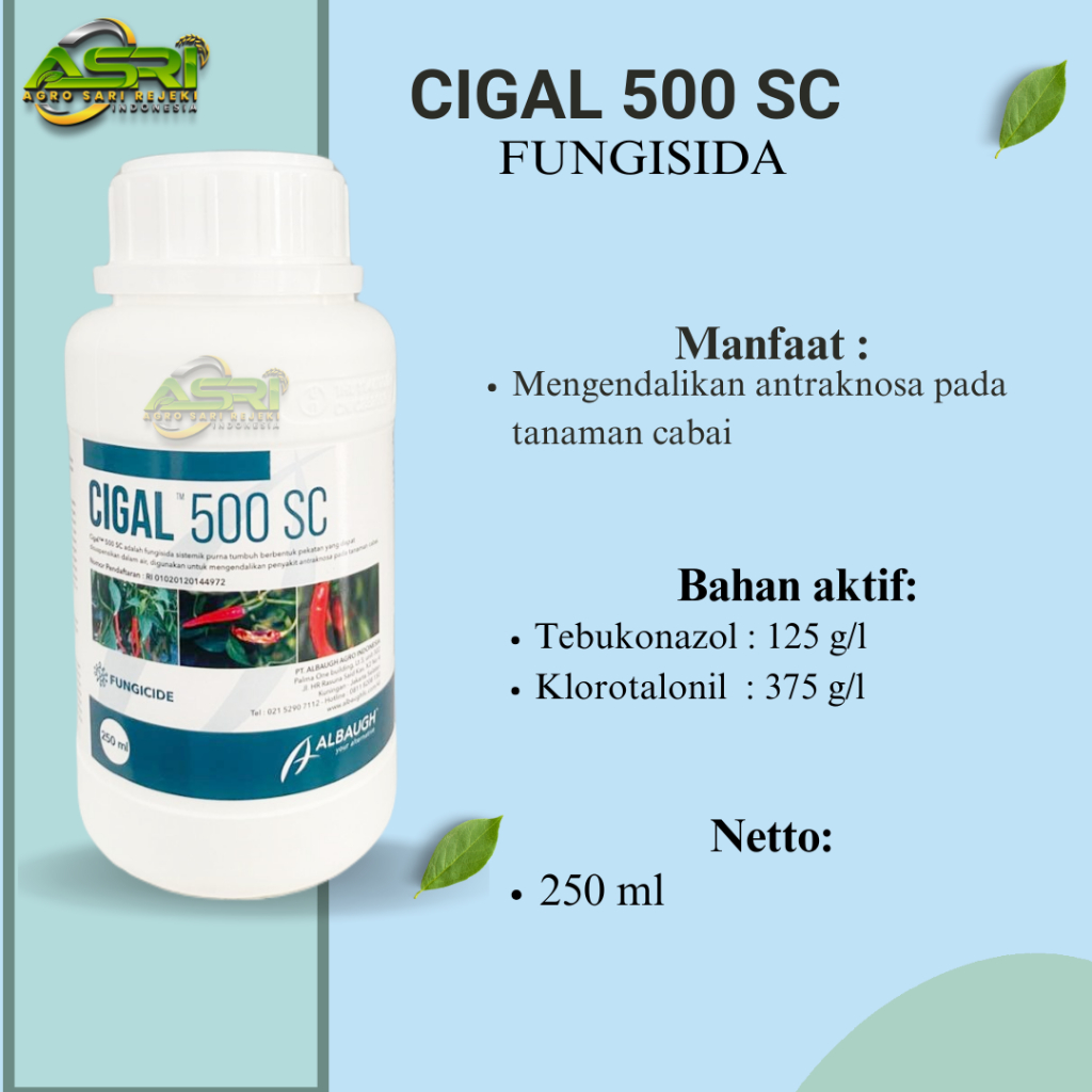 CIGAL  500SC 250ML FUNGISIDA Tebukonazol & Klorotalonil