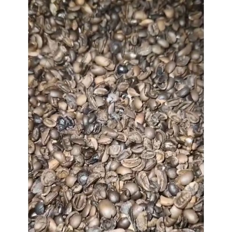 

Roast bean robusta pecah