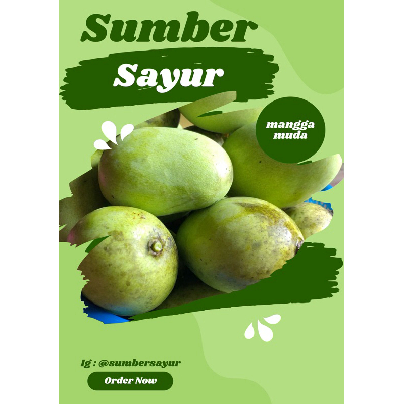 

mangga muda sumber sayur segar murah makassar
