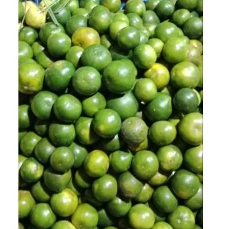 

JERUK PERES SUPER DAN BAGUSS 1KG