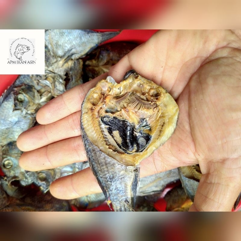

ikan asin jaer berat 250 gram 10.000