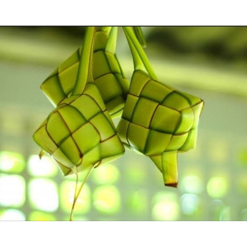 

cangkang ketupat perbiji