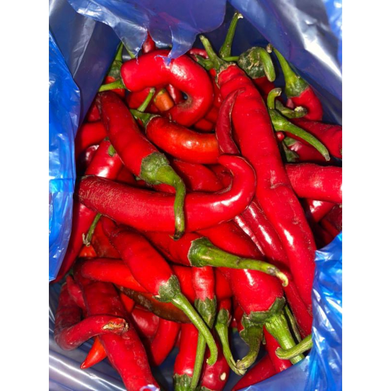 

Cabe merah besar 500gram