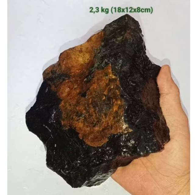 batu akik bahan fosil galih kelor (730)