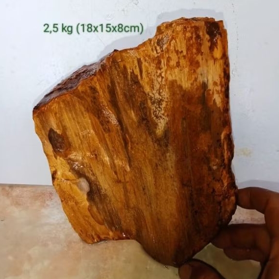 batu akik bahan fosil kayu aren (720)