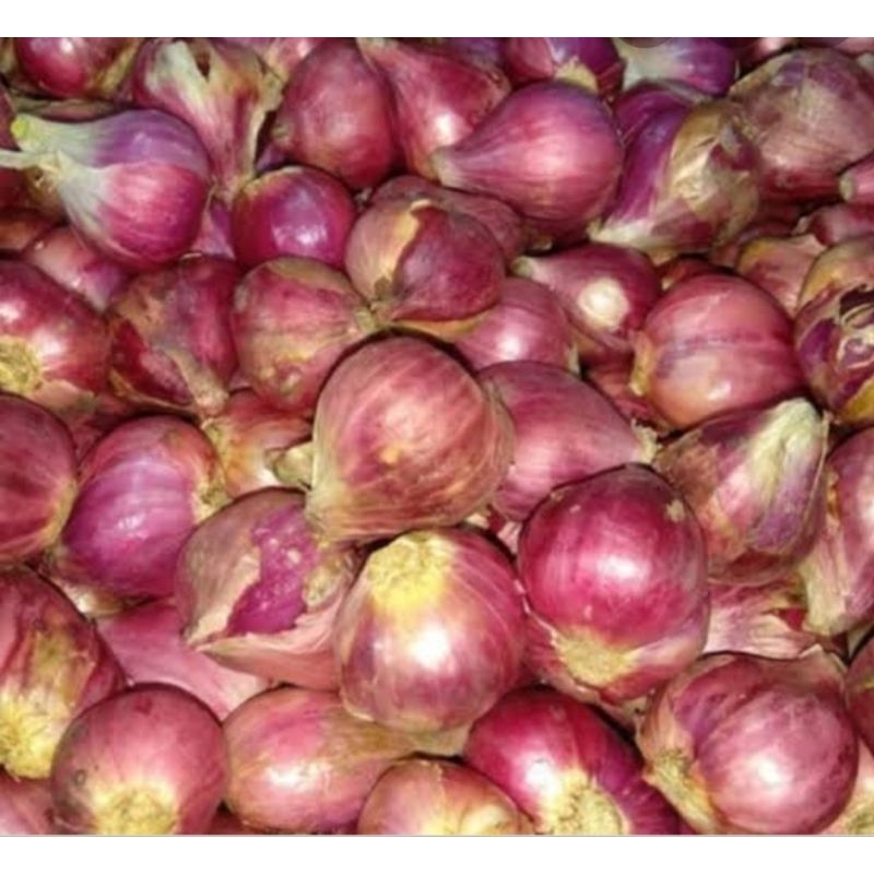 

bawang merah 1 kg